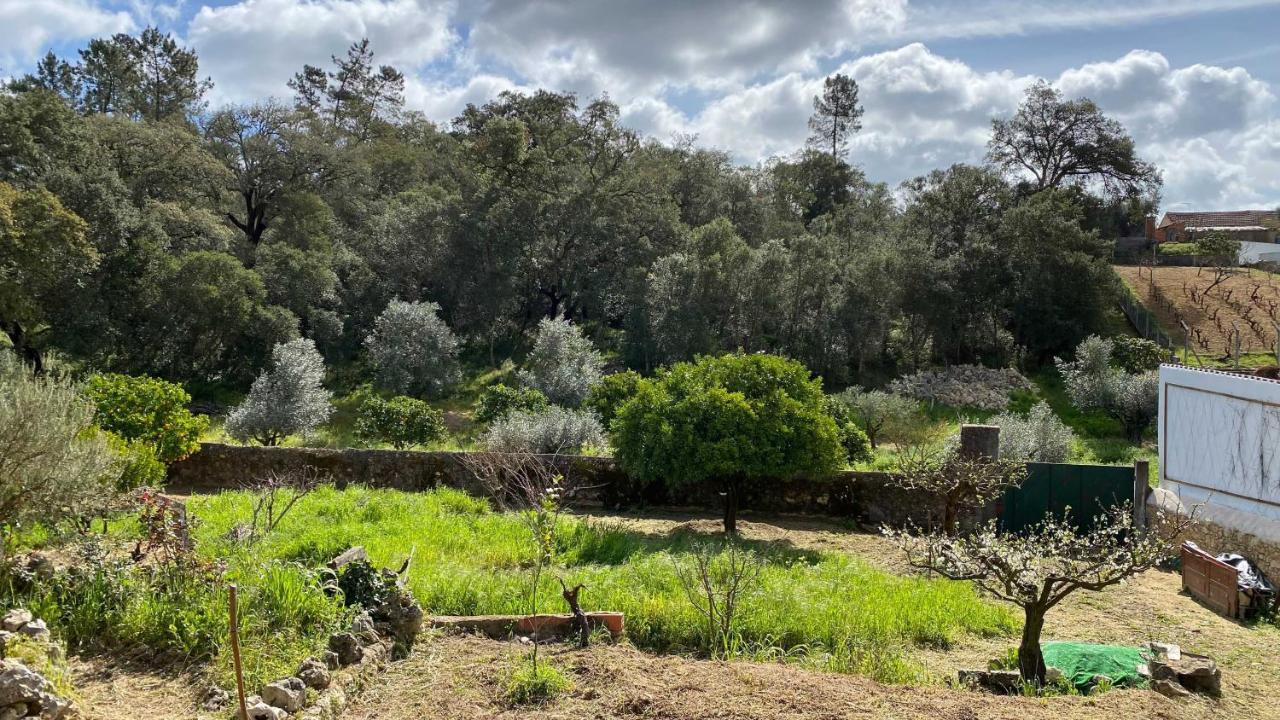 Casalinho In Portugal Country House Tomar Exteriér fotografie